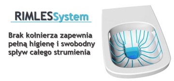 Унитаз Rea Raul безободковый с плавно закрывающимся сиденьем