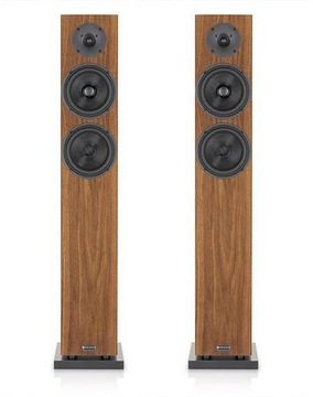 Audio Physic Classic 8 (Orzech) - para