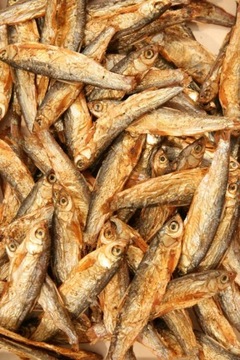 STYNKA SUSZONA 160G CAŁA DUŻA ŻÓŁW PŁAZ RAK GAD