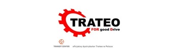 НАТЯЖИТЕЛЬ РЕМНЯ 2.4 TDCI FORD TRANSIT 2006 TRATEO