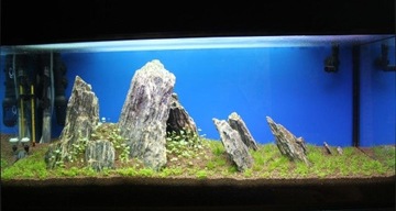 ДЕРЕВЯННЫЙ КАМЕНЬ ДЛЯ АКВАРИУМА 5 КГ.