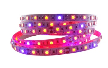 Taśma LED 5050 300 GROW wzrostu uprawy roślin 0.5m