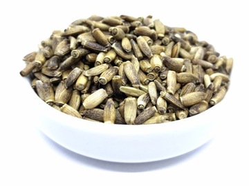 OSTROPEST PLAMISTY ziarno 250g LUBZIOŁEK