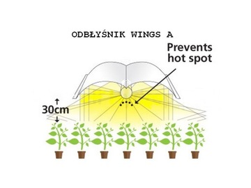 Отражатель HPS, MH 94X40 WINGS A