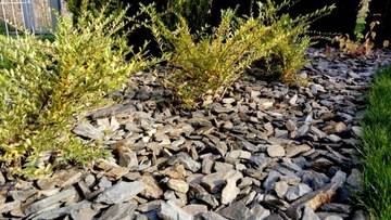 GRIT GRAVEL Greywacke Bark Garden Stone 20 кг