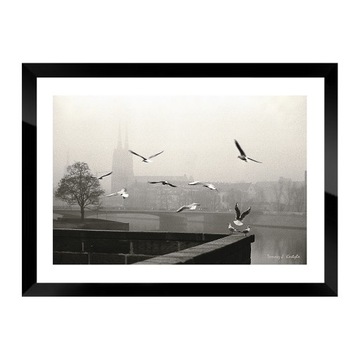 Obraz Zimowy pejzaż nad Odrą fotografia z ptakami