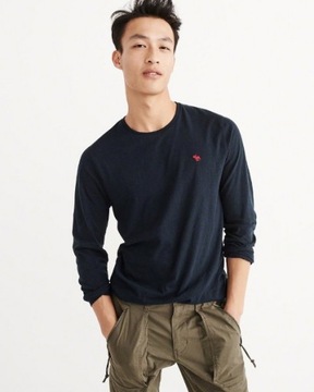 Abercrombie & Fitch Longsleeve Icon r.S