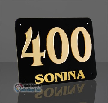 АДРЕСНАЯ ТАБЛИЧКА, НОМЕРНОЙ ДОСКА, 3D ДОМ 20х15