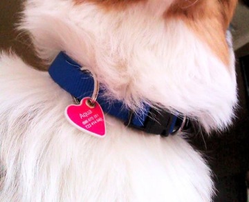 АДРЕСНАЯ СУМКА Купите 2 получите. 1 бесплатный w23