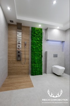 Зеленый подушкообразный мох ЭФФЕКТИВЕН на площади 25х25см.