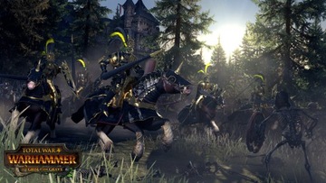 TOTAL WAR WARHAMMER THE GRIM AND THE GRAVE PL ПК STEAM KEY + БЕСПЛАТНО