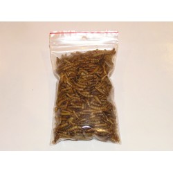 Suszone larwy mącznika młynarka 1 kg dla ptaków