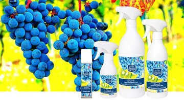 KALA Chanti olejek zapach winogrono z kiwi 500ml