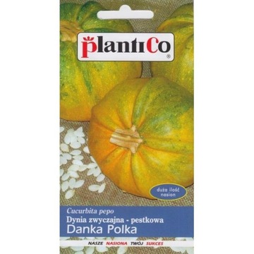 DYNIA ZWYCZAJNA DANKA POLKA -NA NASIONA PLANTICO