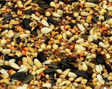 ZDROWA KARMA POKARM MIESZANKA ZIAREN ZBÓŻ MIX DLA PTAKÓW ZIMUJĄCYCH 3KG