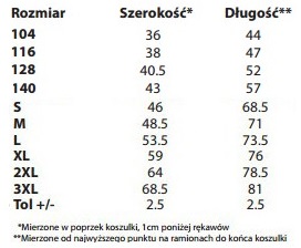 Футболка папе на день отца, папе в подарок - XXL