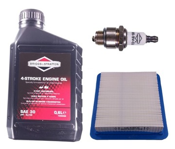 Масло для газонокосилок BRIGGS & STRATTON 0,6л.