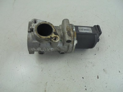 VALVE EGR 7.22946.33.0 FIAT BRAVO II 1.9 JTD - milautoparts-fr.ukrlive.com