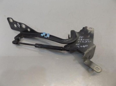 HINGE HOOD RIGHT RENAULT SCENIC III - milautoparts-fr.ukrlive.com