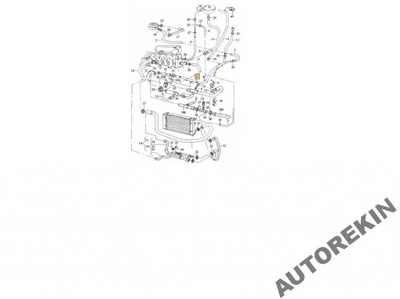 PIPES SYSTEM COOLING VW T4 1,9D 1,9TD - milautoparts-fr.ukrlive.com