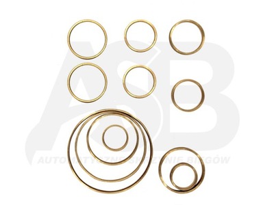 Вкладиші комплект . zf 6hp 19, 21 audi bmw фото №1
