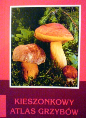 Atlas grzybów,kieszonkowy