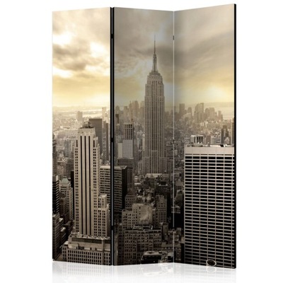Parawan dwustronny 135x172 miasto New York