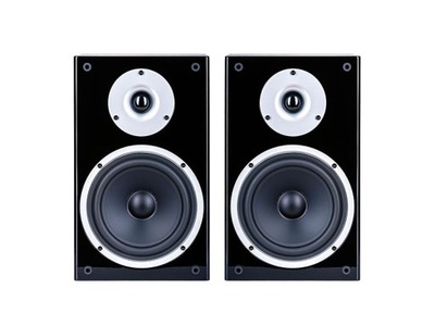 Wilson Raptor 3 - Para / Kolumny Podstawkowe Hi-Fi