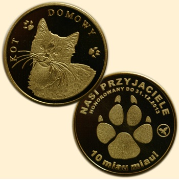 Kot Domowy - 10 miau miau - Nasi Przyjaciele