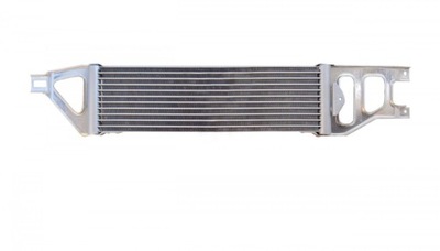 NEW CONDITION RADIATOR OILS MERCEDES A-CLASS W169 B W245 - milautoparts-fr.ukrlive.com