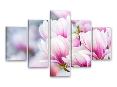 MAGNOLIA Obrazy na płótnie 150x105 OBRAZ KWIATY