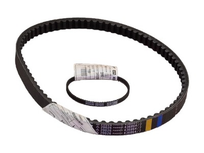 ORIGINAL OEM BELT BELTS GILERA 50 STALKER STORM - milautoparts-fr.ukrlive.com