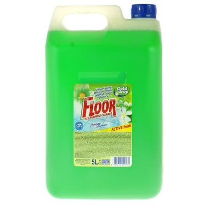 PŁYN DO MYCIA PODŁÓG FLOOR 5L UNIWERSALNY