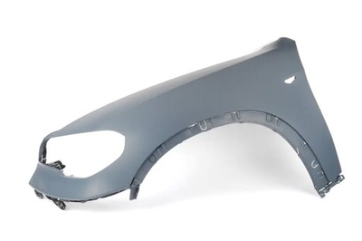 WING FRONT LEFT BMW X5 (E70), 04.10- - milautoparts-fr.ukrlive.com