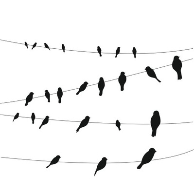 Samolepka na stenu vtáky na pletacích lanách 200cm