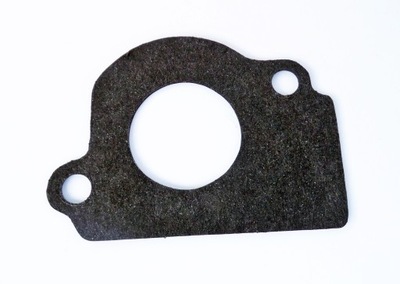 POLONEZ WITH 051579 GASKET NOZZLES - milautoparts-fr.ukrlive.com