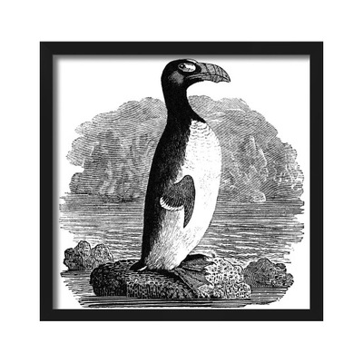 Obraz w ramie Thomas Bewick Alka olbrzymia pingwin