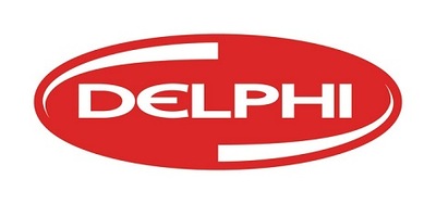 DELPHI 7135-731 SET NAPRAWCZY, NOZZLE HIGH PRESSURE FUEL PUMP - milautoparts-fr.ukrlive.com