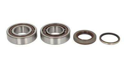 ROULEMENT D'ARBRE D'ARBRE VILEBREQUIN KTM XC-F 250 07-12 - milautoparts-fr.ukrlive.com