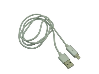 Kabel do iPh 5 iPad 4 iPad Mini 8-PIN magnetycz