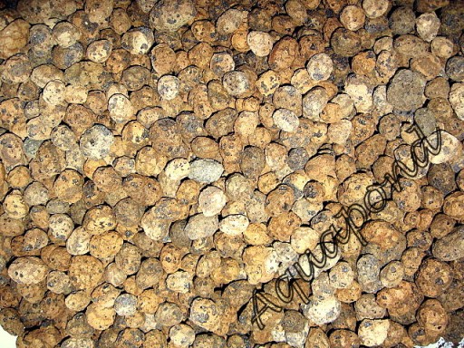 BIOCERAMICZNY WKŁAD DO FILTRA - KERAMZYT - 1 LITR