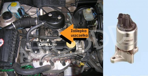 2 Пробка EGR OPEL 1.4 1.6, пробка сверху клапана