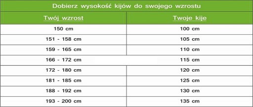 Fizan Action Ski Poles 130 см черные
