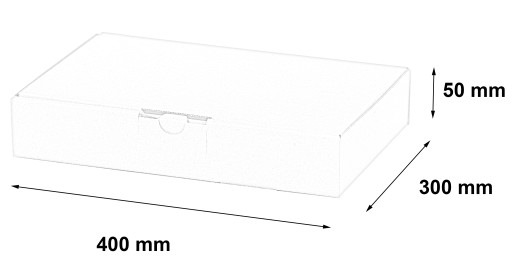 КАРТОННАЯ КОРОБКА 400x300x50 мм, ПОД ЗАКАЗ, 400 ГБ, 20 шт.