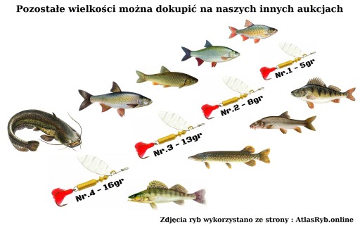 BŁYSTKA PERFEKT APACZ Nr.1 / 5 gr TIGER GOLD