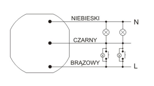 F&F AUTOMAT SCHODOWY DO PUSZKI ASO-205