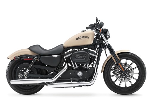 HARLEY DYNA SOFTAIL SPORTSTER XL