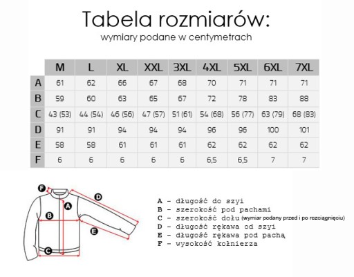 Ciepła Kurtka Męska Przejściowa Wiatrówka Lekko Ocieplana JRX01 PL L grafit