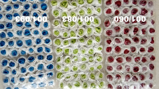 M13 Kwiaty piankowe 2 kolory 2,5cm/72szt 12kolorów