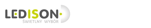 LEDisON Mocna Żarówka LED E27 19W = 150W zimna